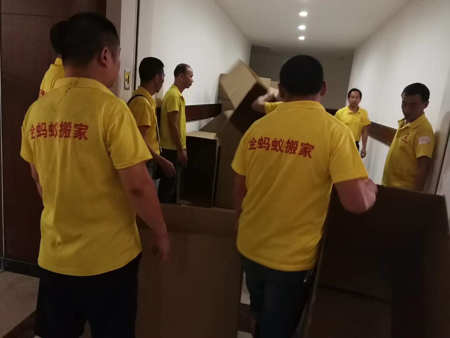 廣州金螞蟻搬家